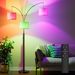 Three-Color Temperature & Dimmable Three-Head Floor Lamp Create A Cozy Home Lighting Ambiance_maomaolike.com