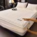 Winter Thickened Sheet Single Piece Milk Coral Fleece Bed Cover Non-Slip Full Wrap Mattress Protector For Simmons_maomaolike.com