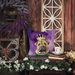 Shar Pei King Of Mardi Gras Throw Pillow Machine Washable, Indoor Outdoor Decorative Pillow For Couch, Bed Or Patio, 14Hx14W_maomaolike.com