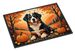 Bernese Mountain Dog Fall Doormat Front Door Mat Indoor Outdoor Rugs For Entryway, Non Slip Washable Low Pile, 24H X 36W_maomaolike.com
