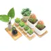 1pc Wooden Bamboo Tray Succulent Cactus Holder Pot Tray Simple Elegan Design Home Decor Plant Flower Pot Saucer Rectangle Shape_maomaolike.com