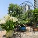 Metal Garden Arch L42.24'' X W17.52'' X H85.82'' Climbing Plants Support Rose Arch Outdoor Black_maomaolike.com