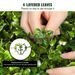 VEVOR 2 Pcs. Artificial Boxwood Tower Topiary Spiral Artificial Plant 122cm High Decorative Plant Green Plastic PE Iron Topiary Plants Incl. 10 Pcs. Replacement Leaves_maomaolike.com