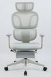 Ergonomic Office Chair With Footrest, High Back Computer Office Chair With Dynamic Lumbar Support, 2D Headrest, 2D Armrest, Sponge Seat, Mesh Home Office Desk Chair For Adults, GREY_maomaolike.com