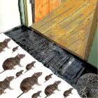 Pest Control_maomaolike