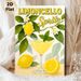 Limoncello Spritz Painting Poster, Bright Citrus & Cocktail Illustration Poster, Refreshing Decor Ideal For Kitchen And Dining Space_maomaolike.com