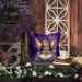 Papillon King Of Mardi Gras Throw Pillow Machine Washable, Indoor Outdoor Decorative Pillow For Couch, Bed Or Patio, 14Hx14W_maomaolike.com
