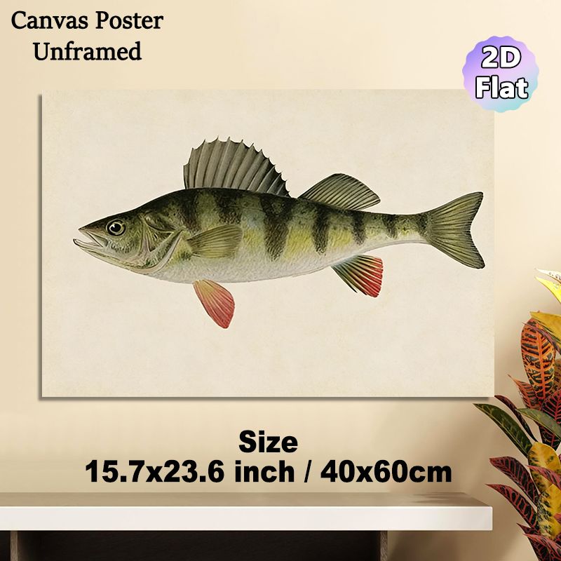 Perch Themed Painting Poster, Vintage Realistic Illustrated Poster, Detailed Striped Perch Artwork With Reddish Fins, Ideal For Study And Fishing_maomaolike.com