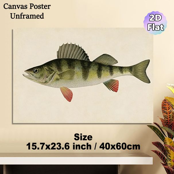 Perch Themed Painting Poster, Vintage Realistic Illustrated Poster, Detailed Striped Perch Artwork With Reddish Fins, Ideal For Study And Fishing_maomaolike.com
