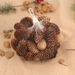 Decoration Pine Cone Acorn Flower Handmade DIY Forest Kindergarten Environmental Creation Dried Branches Wild Creative_maomaolike.com