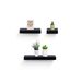 Floating Shelves 31.5" Wall Mounted Wood Shelves For Bathroom, Bedroom, Living Room, Kitchen, Hanging Shelf For Books/Storage/Decor With Invisible Brackets, Maple_maomaolike.com
