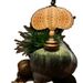 Vintage Luminous Sea Urchin Shell Night Light Desktop Atmosphere Lamp Bedroom Living Room Decoration_maomaolike.com