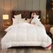 Hotel Fleece Core Full Sheet Top-sale Silk Cotton Thickened Winter Air Conditioning Four Seasons Spring Autumn Homestay Quilt Bed_maomaolike.com