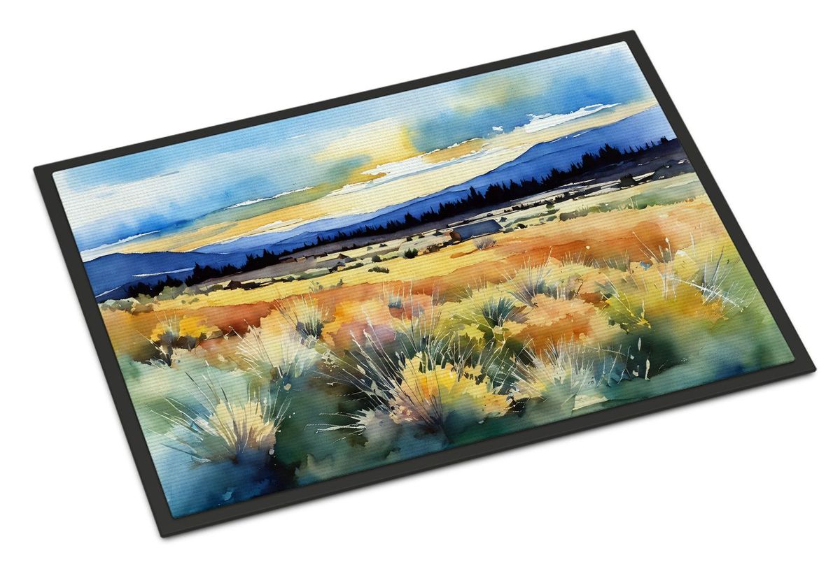 Nevada Sagebrush In Watercolor Doormat Front Door Mat Indoor Outdoor Rugs For Entryway, Non Slip Washable Low Pile, 24H X 36W_maomaolike.com