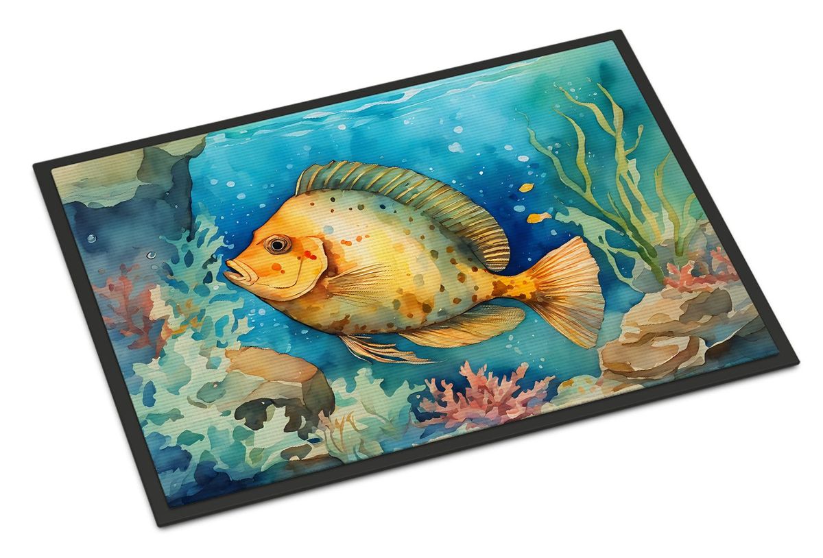 Flounder Doormat Front Door Mat Indoor Outdoor Rugs For Entryway, Non Slip Washable Low Pile, 24H X 36W_maomaolike.com