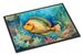 Flounder Doormat Front Door Mat Indoor Outdoor Rugs For Entryway, Non Slip Washable Low Pile, 24H X 36W_maomaolike.com
