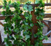 Cross-Border Exclusive Artificial Grape Fake Flower Vine Plant Pipe Ceiling Decoration Plastic Green Radish Leaves_maomaolike.com