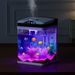 2 Gallon Fish Tank Aquarium LED Smart Square Clear Glass 7 Color Self Cleaning_maomaolike.com