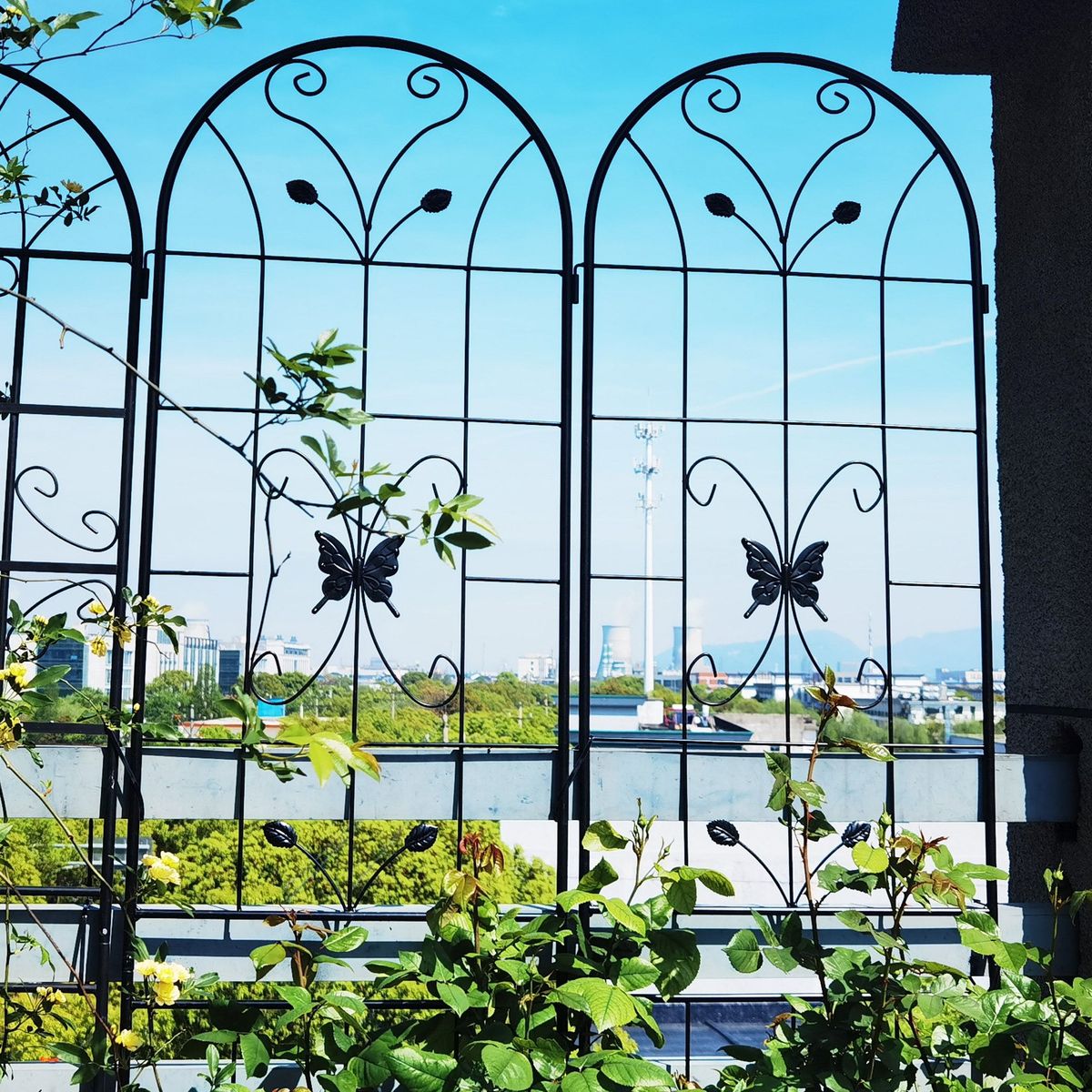 4 Pack Metal Garden Trellis 86.7" X 19.7" Rustproof Trellis For Climbing Plants Outdoor Flower Support Black_maomaolike.com