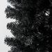 8ft Pencil Christmas Tree, Unlit Artificial Christmas Tree Slim Douglas Fir Xmas Tree With Realistic Branches, Halloween Tree With 1168 Tips_maomaolike.com