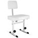 5 CORE Piano Bench Height Adjustable Keyboard Stool Stool Heavy Duty Thick Padded Cushioned Seat With Backrest - PNB B-REST WH_maomaolike.com