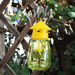 Liquid Drosophila Attractant Wasp Bait Anti Fly Fruit Killer Catcher Orchard Insect Trap Control Tools_maomaolike.com