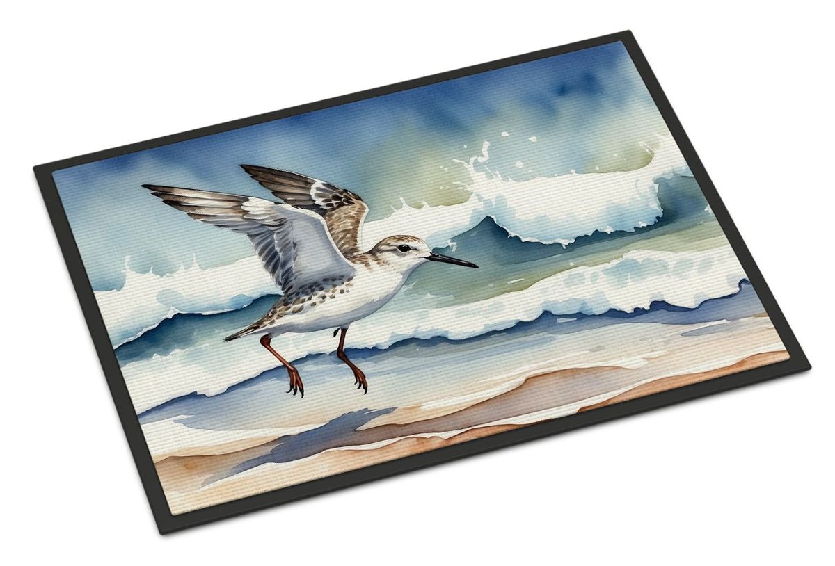 Sanderling Racing The Tide Doormat Front Door Mat Indoor Outdoor Rugs For Entryway, Non Slip Washable Low Pile, 24H X 36W_maomaolike.com