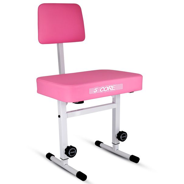 5 CORE Piano Bench Height Adjustable Keyboard Stool Stool Heavy Duty Thick Padded Cushioned Seat With Backrest - PNB B-REST PNK_maomaolike.com