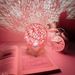 Creative Energy-Saving Night Light Bedroom Bedside Table Corporate Event Opening For Friends And Clients Small Gift_maomaolike.com