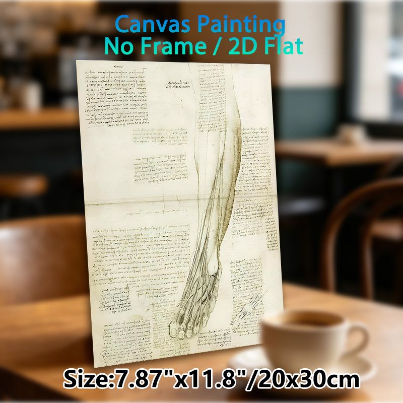Anatomical Leg & Foot Painting Poster, Vintage Monochrome Hand-drawn Anatomical Sketch Poster, Detailed Scientific Illustration Ideal For Study_maomaolike.com