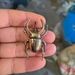 Cross-Border Prank Big Beetle Top-sale Cockroach Alloy Small Ornament Metal Door Cabinet Stall Copper Insect_maomaolike.com
