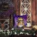 Sheltie King Of Mardi Gras Throw Pillow Machine Washable, Indoor Outdoor Decorative Pillow For Couch, Bed Or Patio, 18Hx18W_maomaolike.com