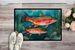 Trout Doormat Front Door Mat Indoor Outdoor Rugs For Entryway, Non Slip Washable Low Pile, 24H X 36W_maomaolike.com