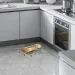 Specifically Designed Adhesive Trap Glue For Roaches Ants Spiders And Other Insects - Roach Catcher_maomaolike.com