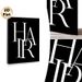 Monogrammed HAR Painting Poster, Minimalist Black & White Interlocked Lettering Poster, Sleek Modern Typographic Decor Ideal For Living Room, Office_maomaolike.com