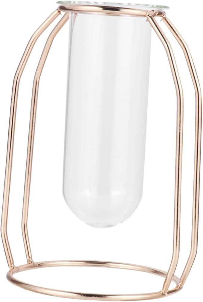 Glass Tube Vase Hydroponics Planter With Metal Frame Creative Flower Planter For Home Office Decor For Tulips Roses And Branches Unique Present Idea_maomaolike.com