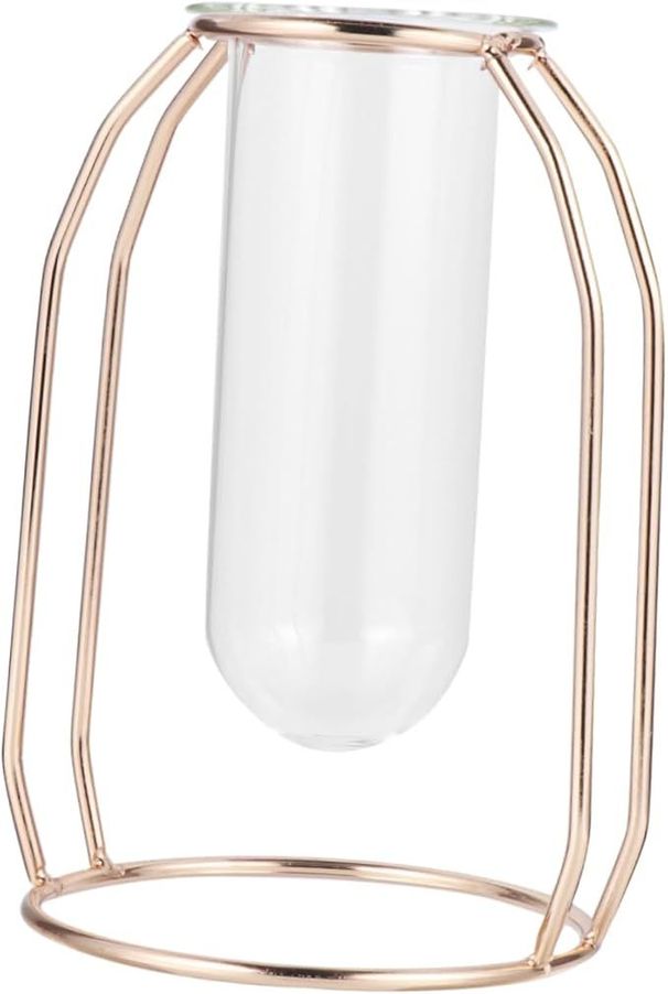 Glass Tube Vase Hydroponics Planter With Metal Frame Creative Flower Planter For Home Office Decor For Tulips Roses And Branches Unique Present Idea_maomaolike.com