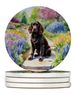Boykin Spaniel Spring Path Large Sandstone Coasters Pack Of 4 Absorbent Round Coasters Decor Gifts For Men Or Women, 4 In, Multicolor_maomaolike.com