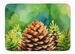 Maine White Pine Cone And Tassels In Watercolor Memory Foam Kitchen Mat Machine Washable Anti-Fatigue Mat Cushion Comfort Bath Mat Or Kitchen Rug_maomaolike.com