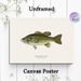 Largemouth Bass Painting Poster, Realistic Natural-toned Fish Illustration Poster, Detailed Educational Artwork Ideal For Fishing Enthusiasts' Living_maomaolike.com