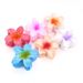 Egg Flower Grab Clip Gradient Flower candy bauhinia back Hair Shark clip hair accessories_maomaolike.com