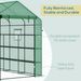8 X 6 X 7 Temporary Greenhouse For Growing Flowers With Mesh Door & Windows Green_maomaolike.com