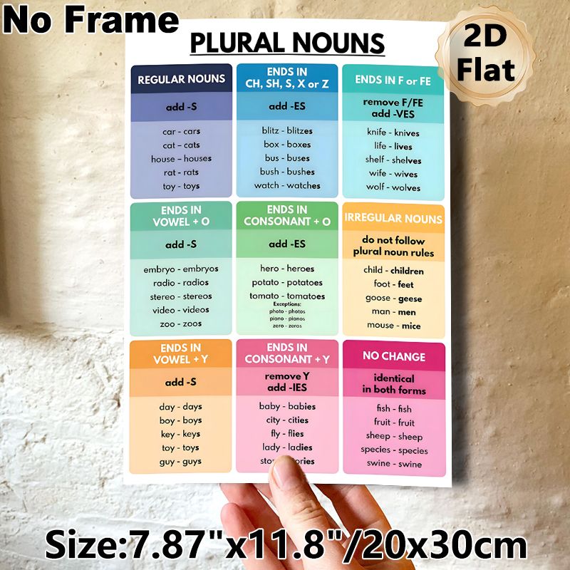 Plural Nouns Educational Painting Poster, Clear-structured Colorful Categorized Grammar Poster, Helps Master English Plural Noun Rules, Ideal For_maomaolike.com