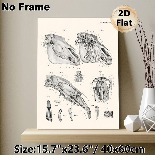 Equine Skull Anatomy Painting Poster, Vintage Detailed Black-and-White Anatomical Illustration Poster, Informative Educational Decor Suitable For_maomaolike.com