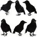 Halloween Birds, Black Feathered Crows, Realistic Looking Halloween Decoration Birds_maomaolike.com