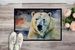 Polar Bear Doormat Front Door Mat Indoor Outdoor Rugs For Entryway, Non Slip Washable Low Pile, 24H X 36W_maomaolike.com