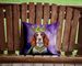 Welsh Springer Spaniel King Of Mardi Gras Throw Pillow Machine Washable, Indoor Outdoor Decorative Pillow For Couch, Bed Or Patio, 14Hx14W_maomaolike.com