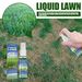 Yegbong Green Lawn Spray, Backyard Outdoor Playground Football Field Grass Growth Concentrated Nutrient Solution Spray_maomaolike.com