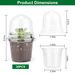 30Pcs Plant Nursery Pots PET Flower Seed Starting Pots Container With Dome With Drainage Holes_maomaolike.com