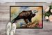 Eagle Doormat Front Door Mat Indoor Outdoor Rugs For Entryway, Non Slip Washable Low Pile, 24H X 36W_maomaolike.com